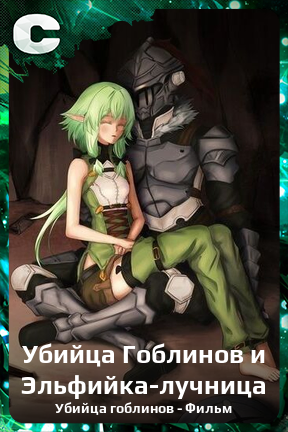 Карточка персонажа Убийца Гоблинов и Эльфийка-лучница