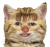pochatok